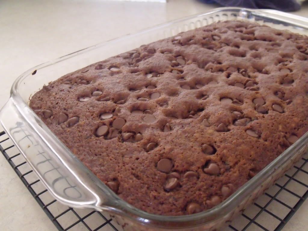 Chocolate Chip Cake