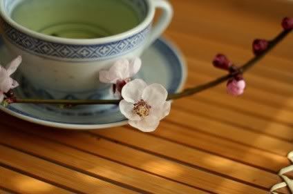 cup of tea Pictures, Images and Photos