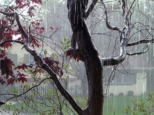 Time For a Rainy Day Game Pictures, Images and Photos