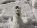 snowdog.jpg