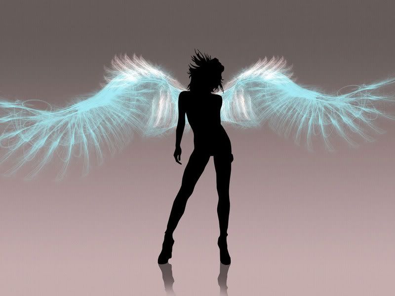 Sexy angel Pictures, Images and Photos