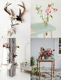 6 awesome ways to style your home with flowers