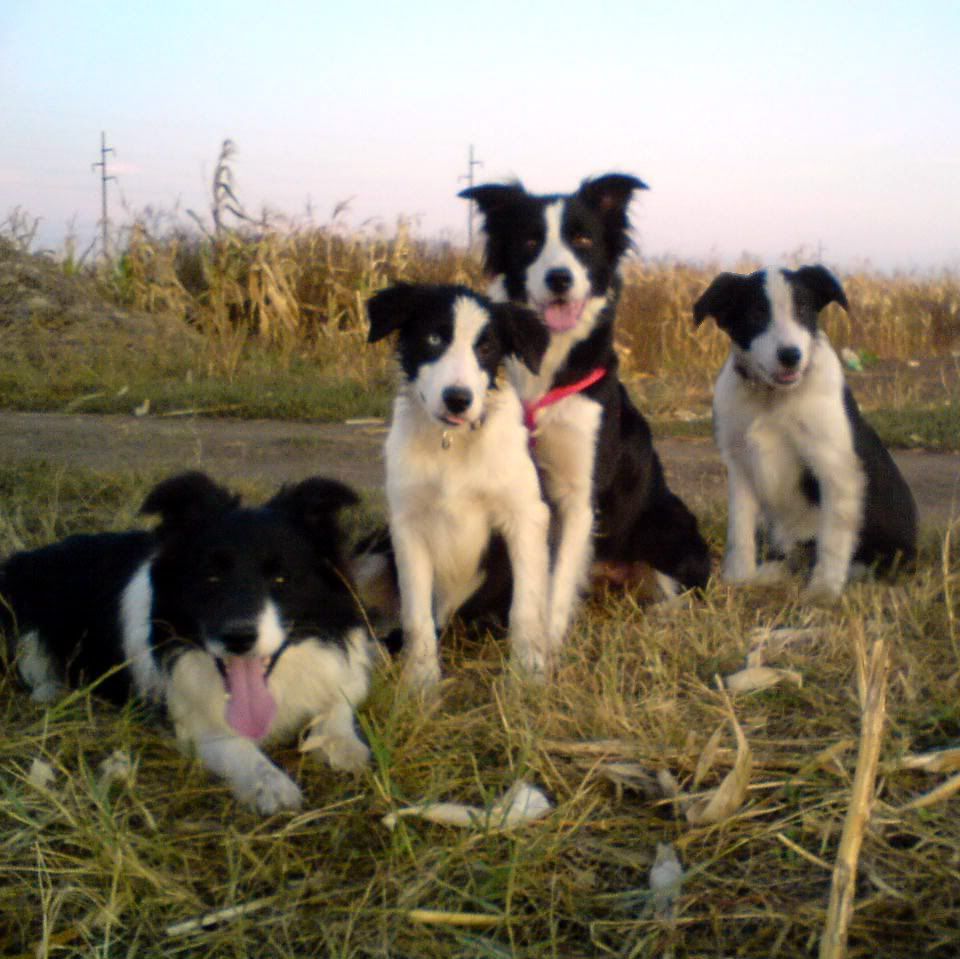 DSC00844.jpg