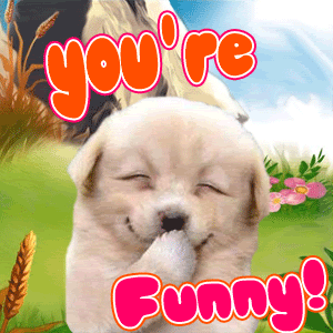 youre-funny.gif Funny image by eltonsgirl27
