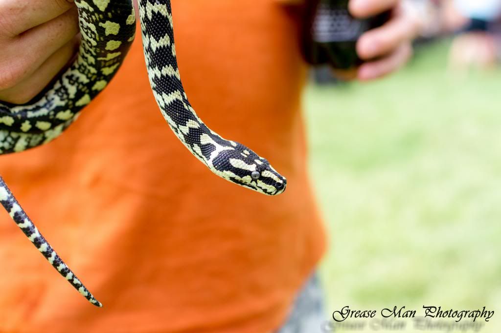 IMAGE: http://i600.photobucket.com/albums/tt88/19Snowman84/E%20Bday/boa-029_zps4f756e07.jpg