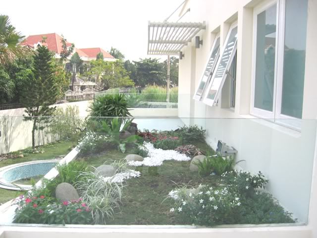 156.jpg 156.jpg