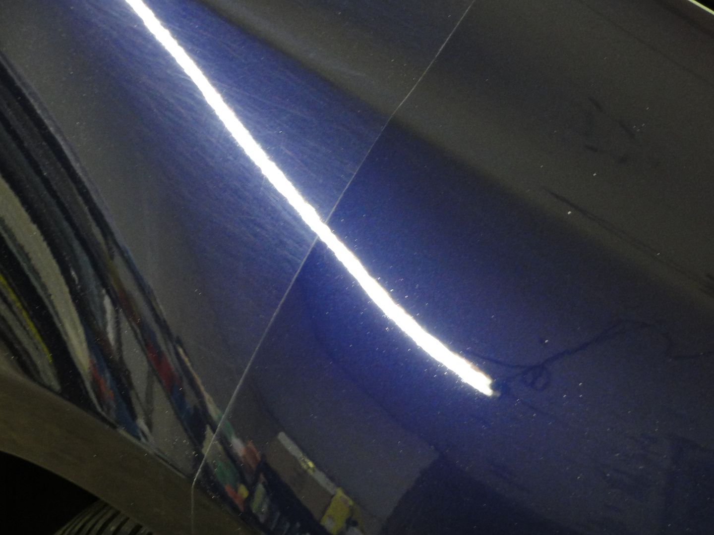 DSC02796-1.jpg