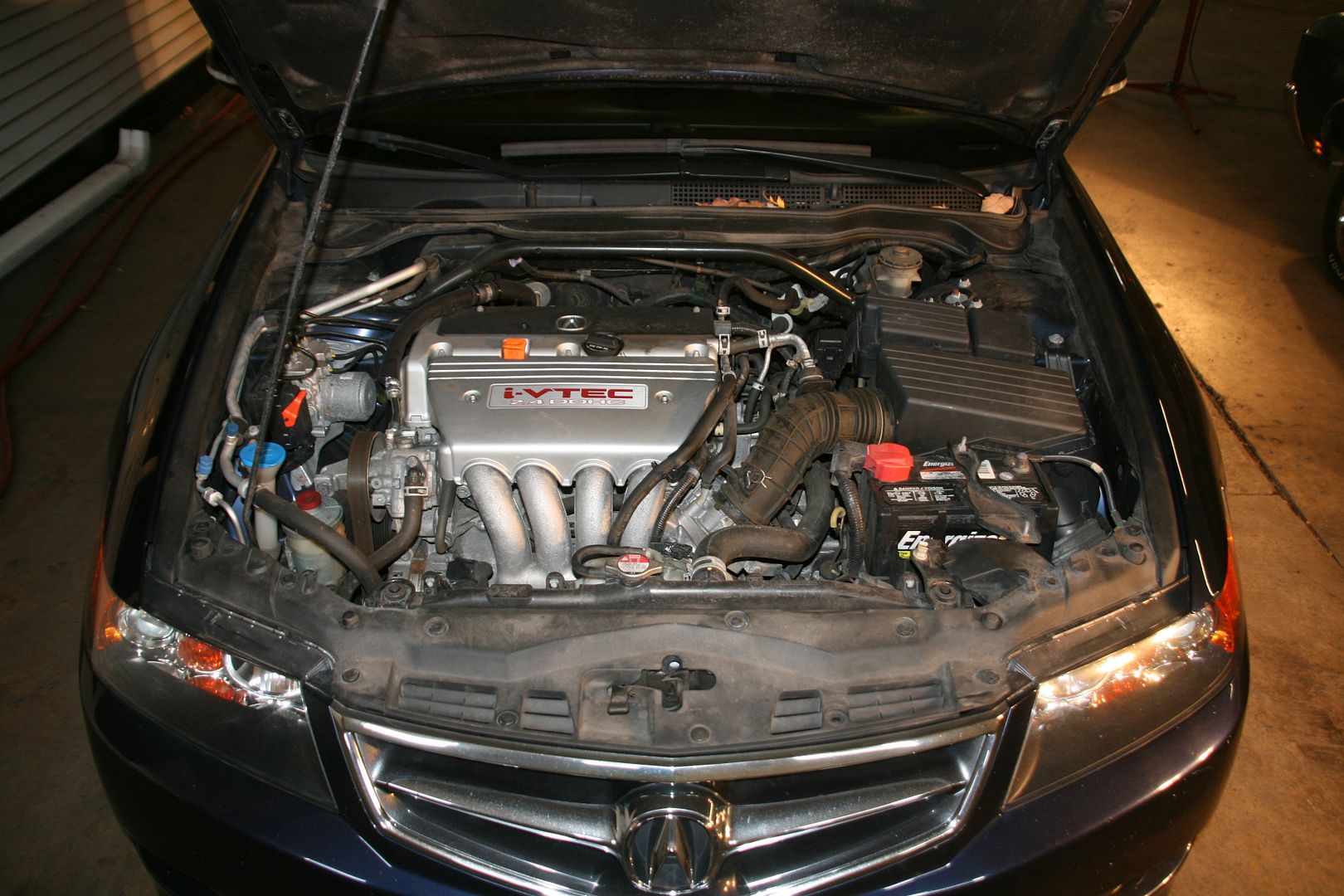 mustsx064.jpg