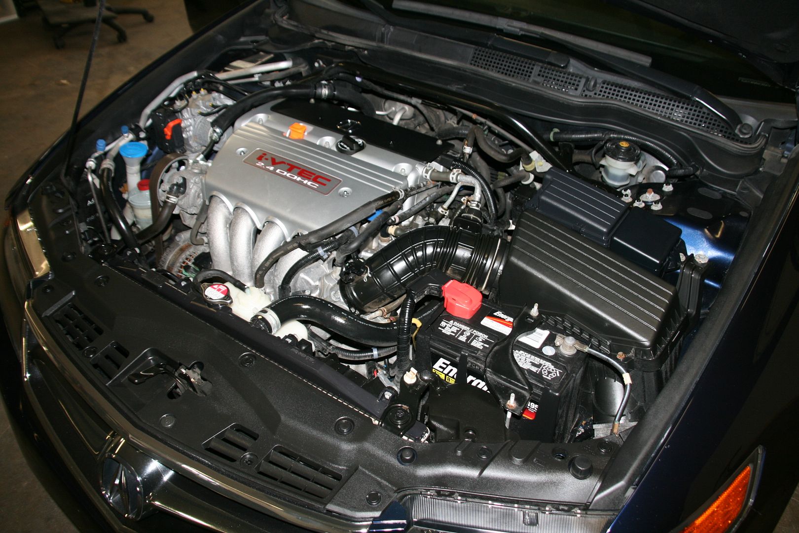 mustsx184.jpg