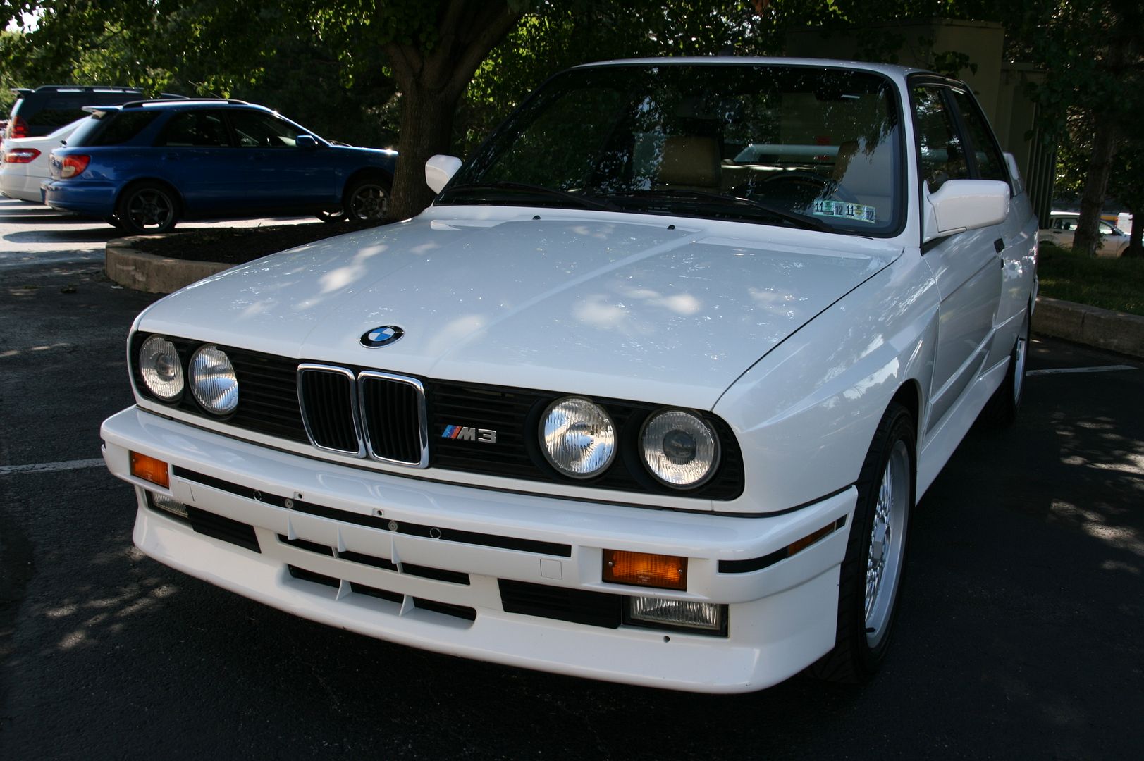 275.jpg