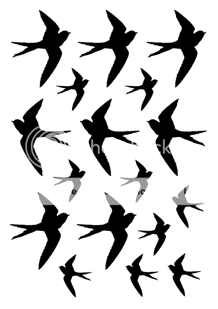 swallows.jpg Photo by cocorosa_photo | Photobucket