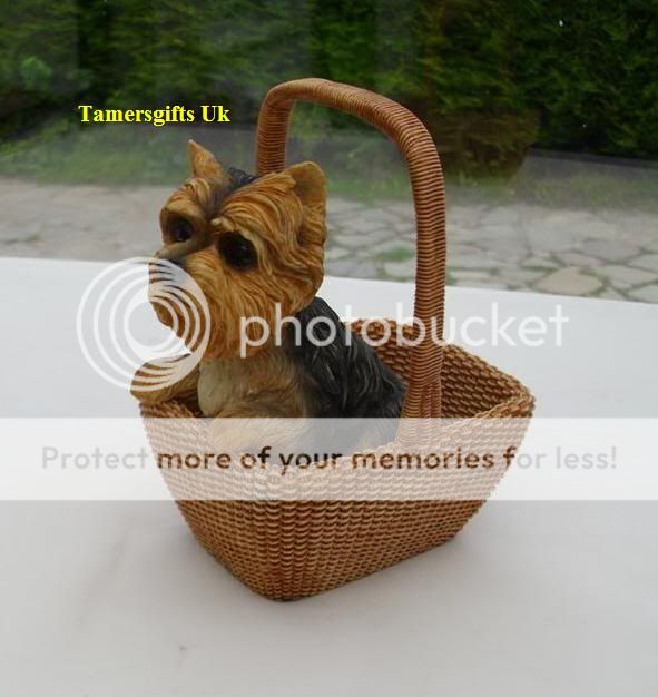 Leonardo Dog Studies Yorkshire Terrier in Basket Bnew  