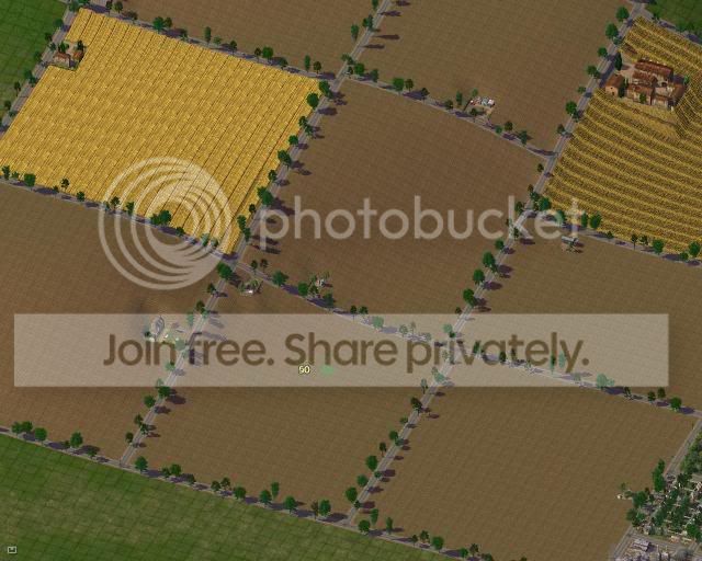 SGFarms1.jpg